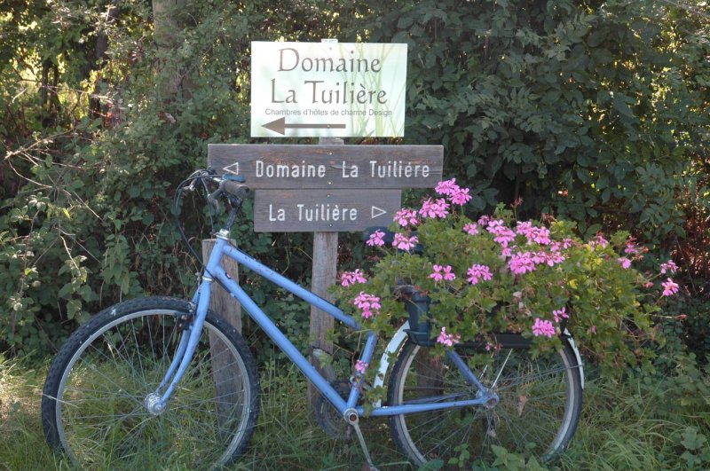 Domaine la Tuiliere
