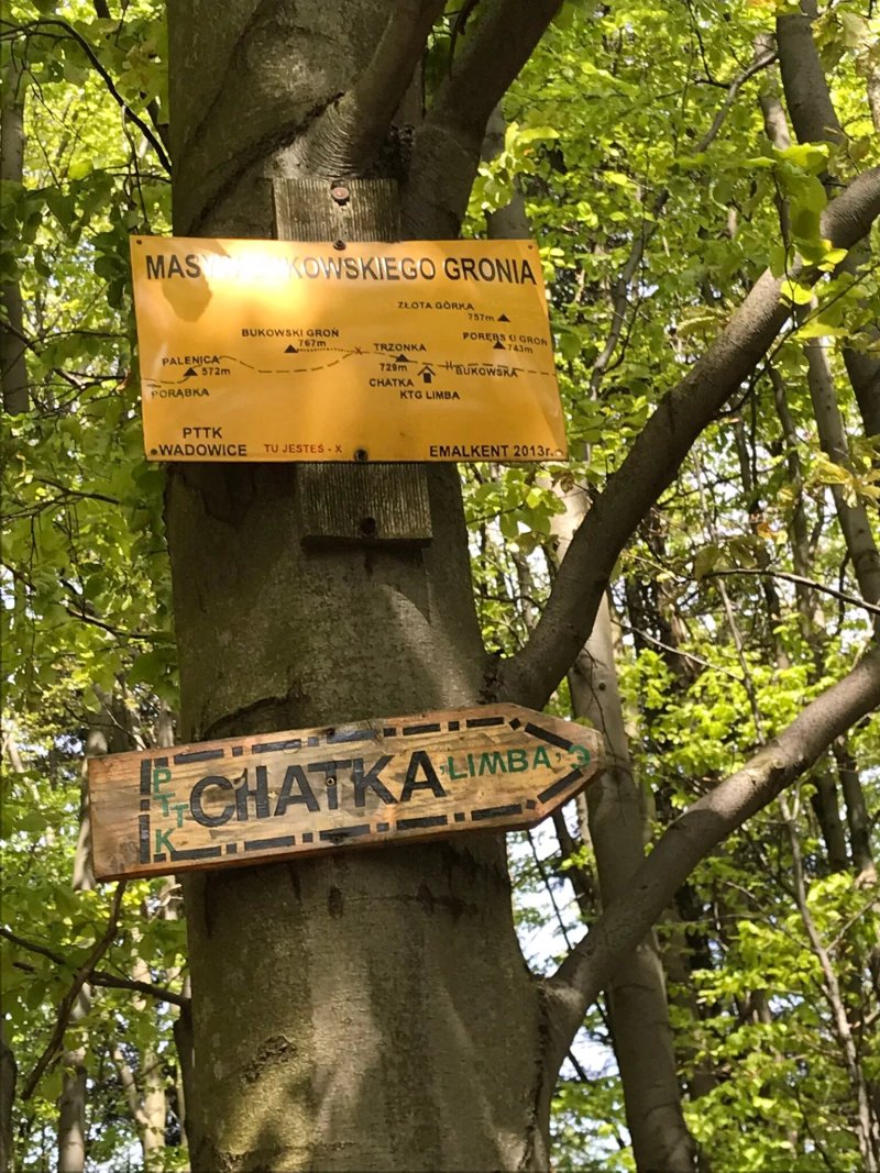 Chatka KTG Limba Na Trzonce