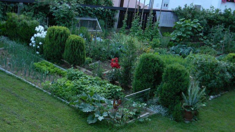 B&B Tereza