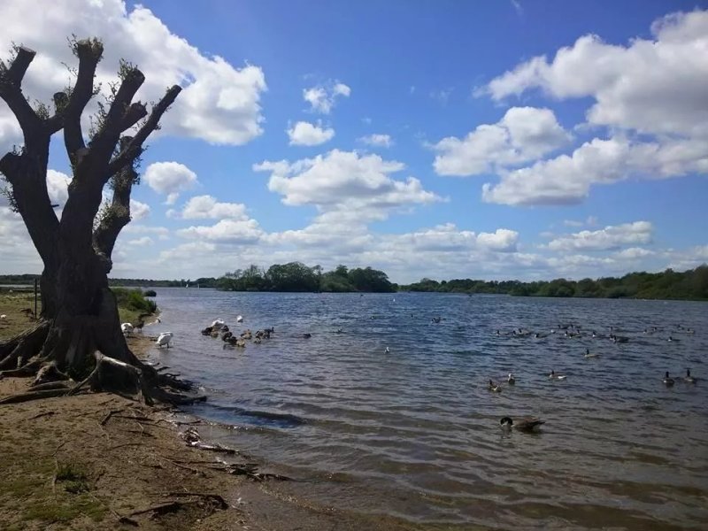 Hornsea Mere Cafe