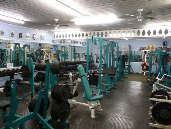 Fitness and Physique Gymnasium