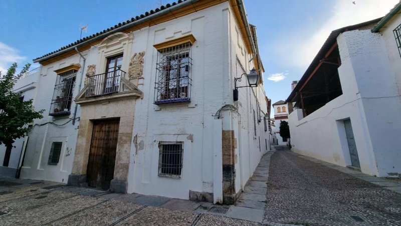 Los Patios Del Panuelo