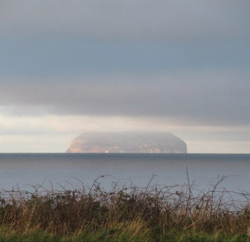 David's Snack Bar