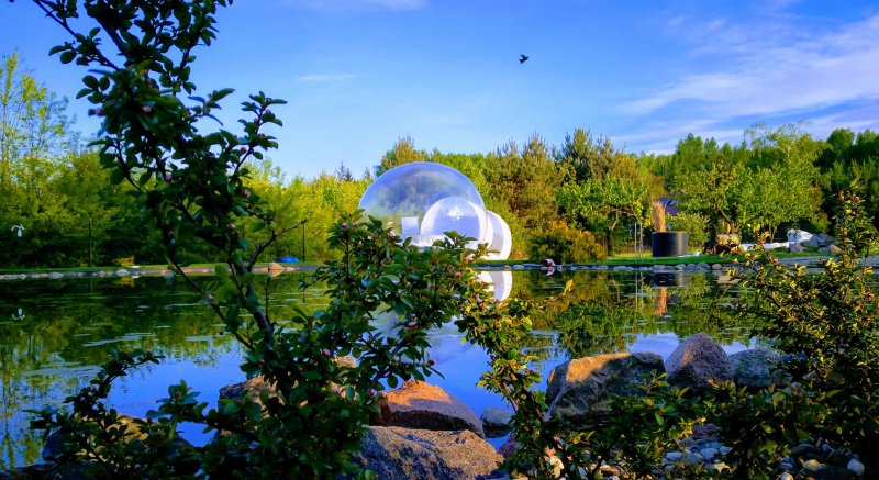 W Bance - Bubble tent Glamping