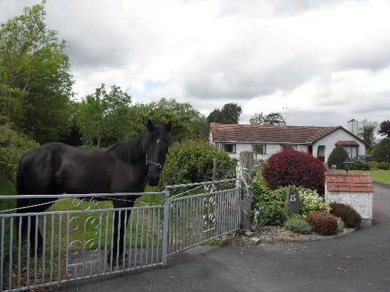 Greenacres Guesthouse