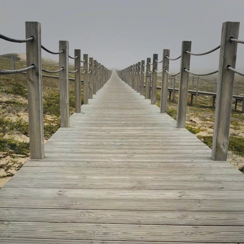 Camino Portugues