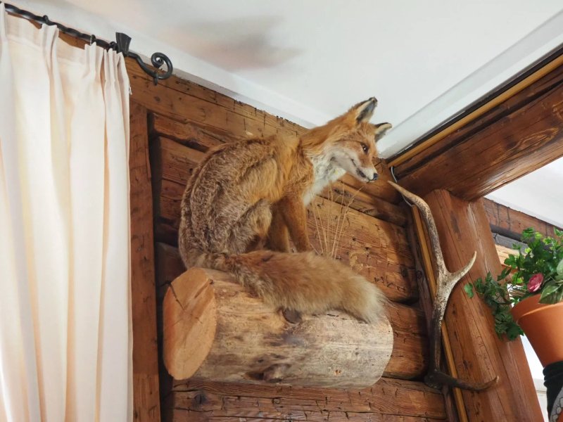 Holzfaeller