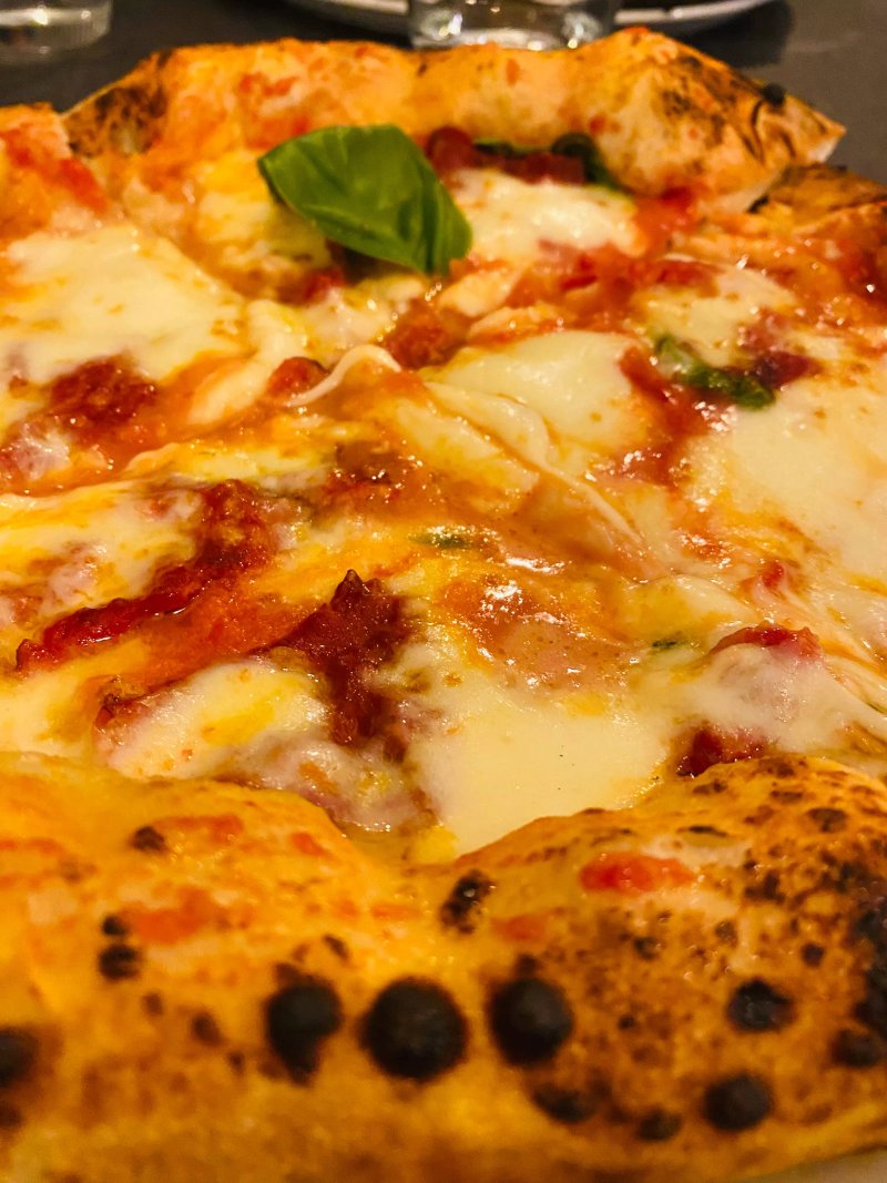Camelia Pizzeria Contemporanea
