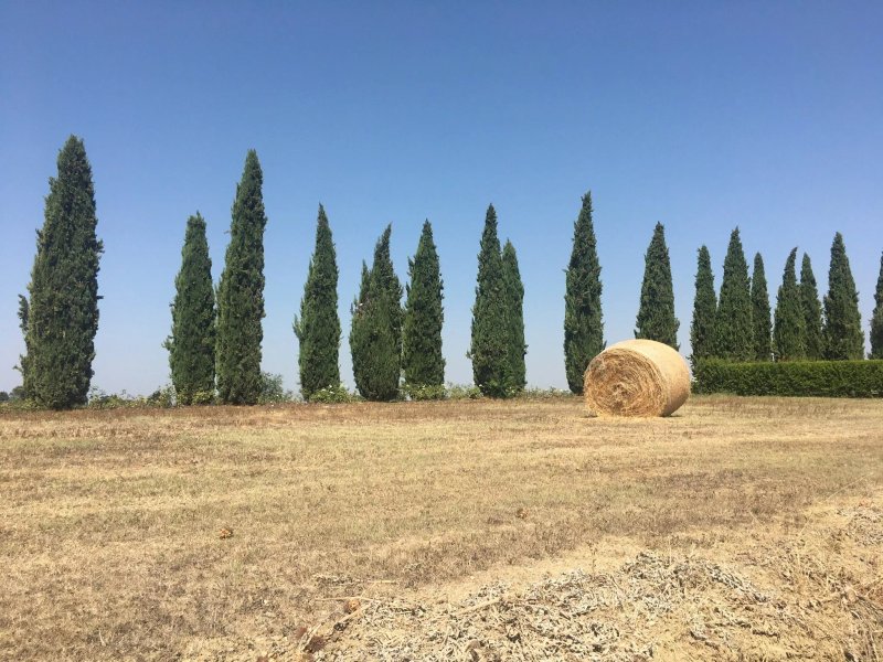 Casale Podernovo