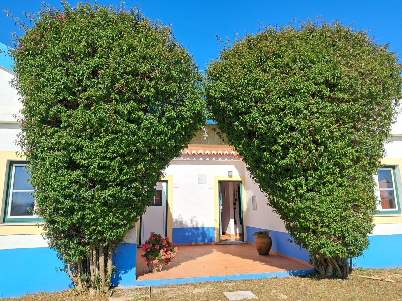 Apartamentos Canal Da Agua