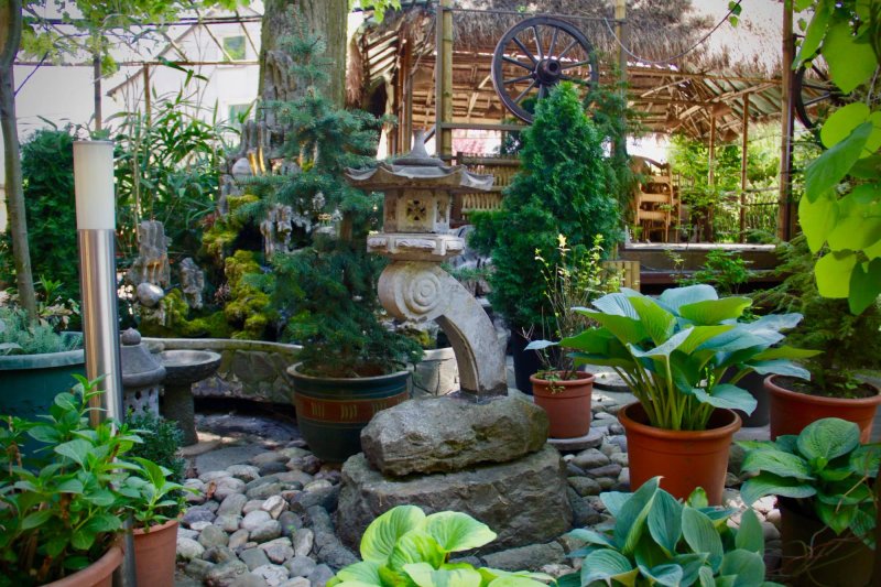 Thairestaurant Orchidee