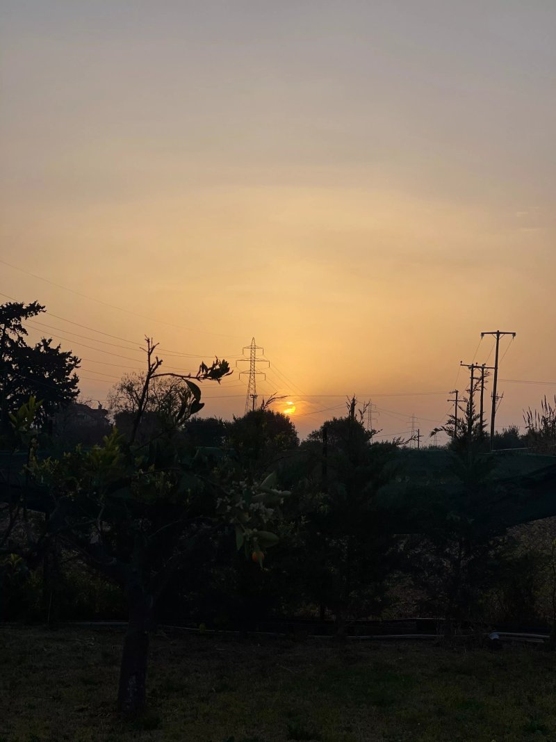 La Terra Nostra