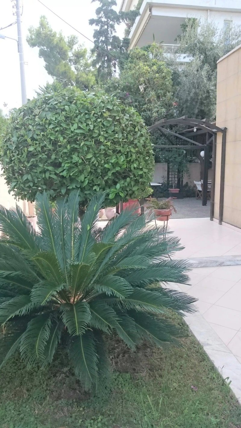 Villa Orion Hotel