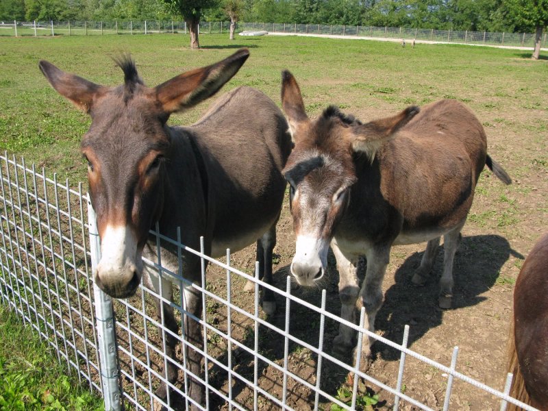 Azienda Agrituristrica Ai Prai