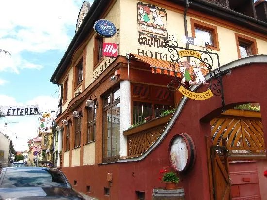 Hotel Bacchus