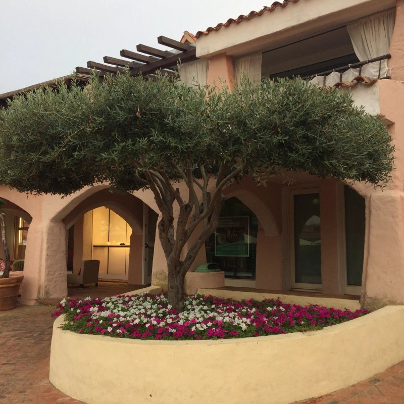 Novikov Porto Cervo