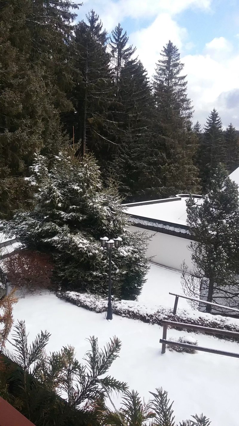 Schwarzwaldhotel Schonwald