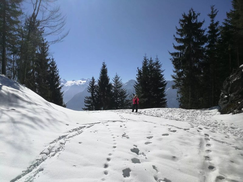 Alpengasthof Hutteneckalm