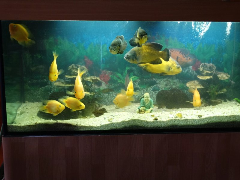 Asian Restaurant