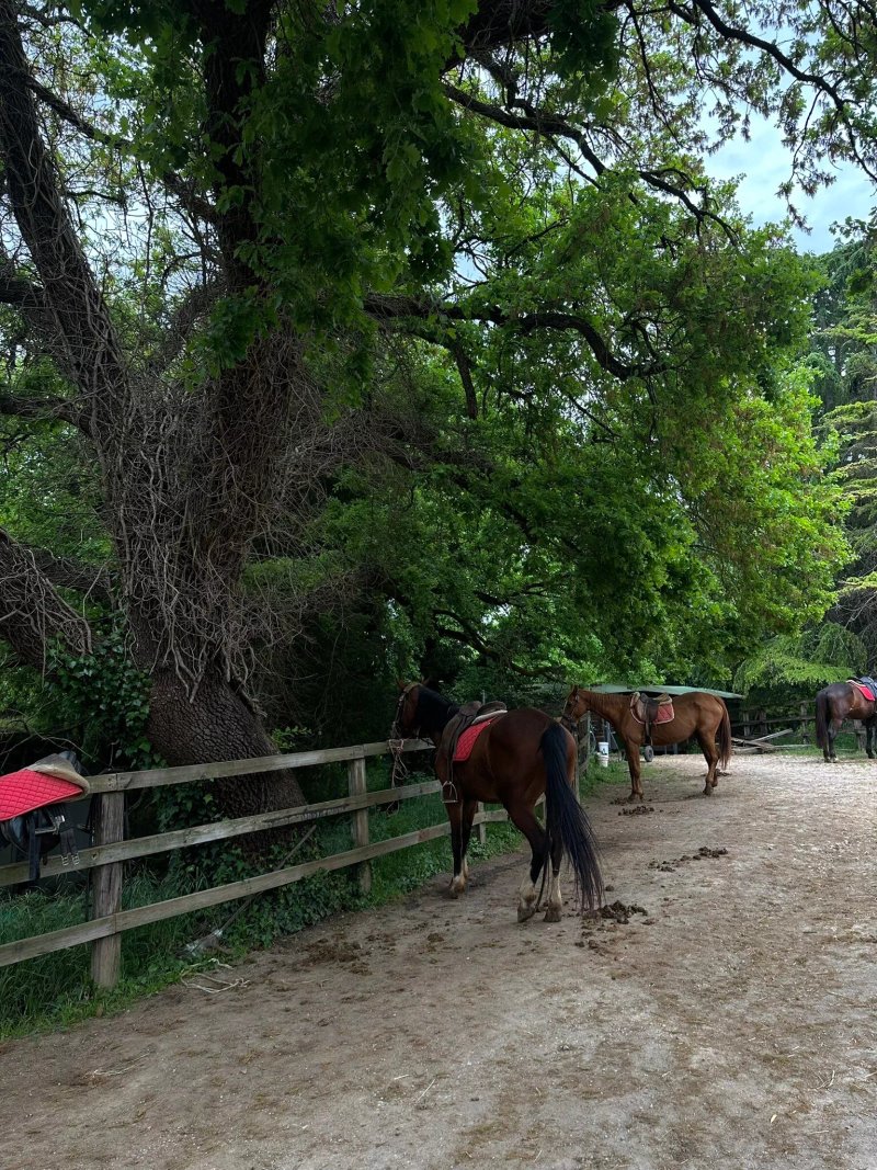 Centro Ippico La Balzana