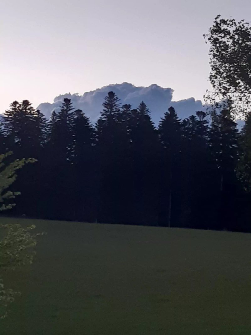 Landgasthof Solhof Restaurant