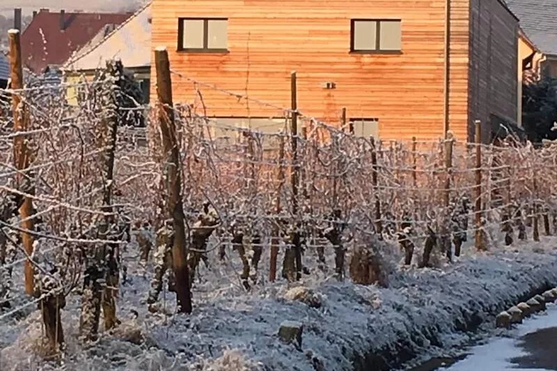 UNIQUE EXPERIENCE, Eco-House And High standing - 12 P, 5 bathroom - Wine road