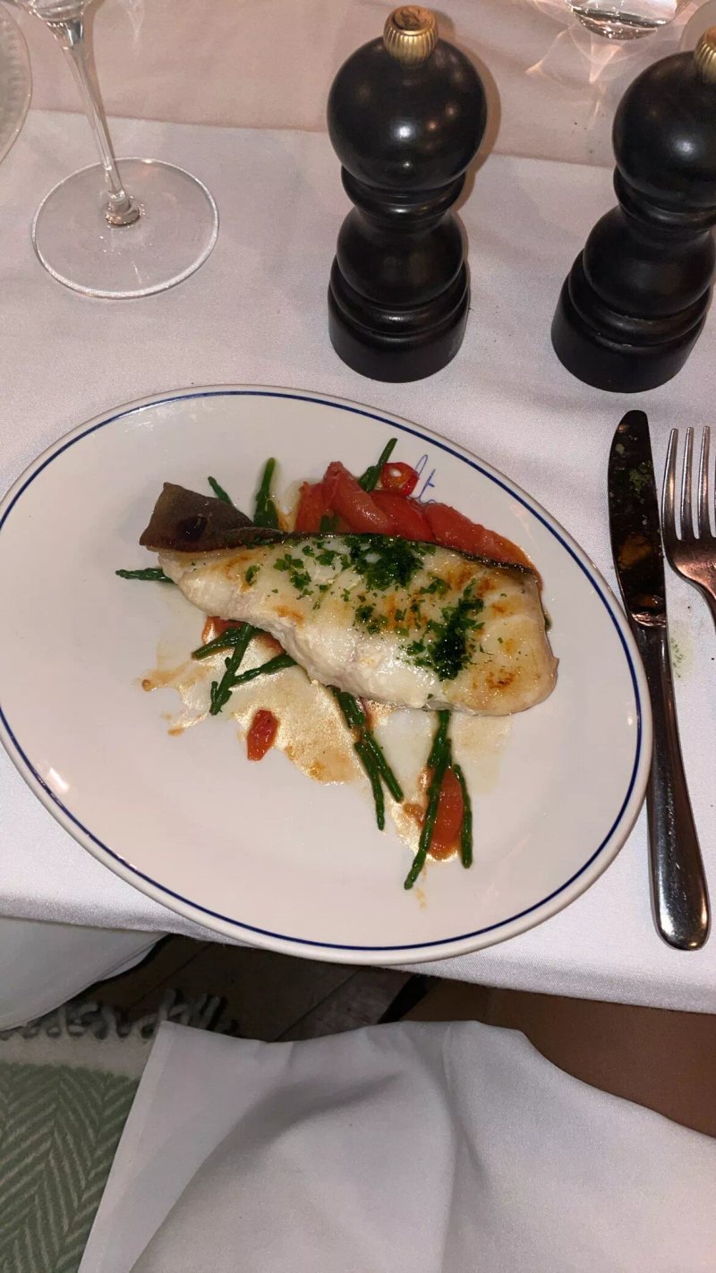 Alto by San Carlo
