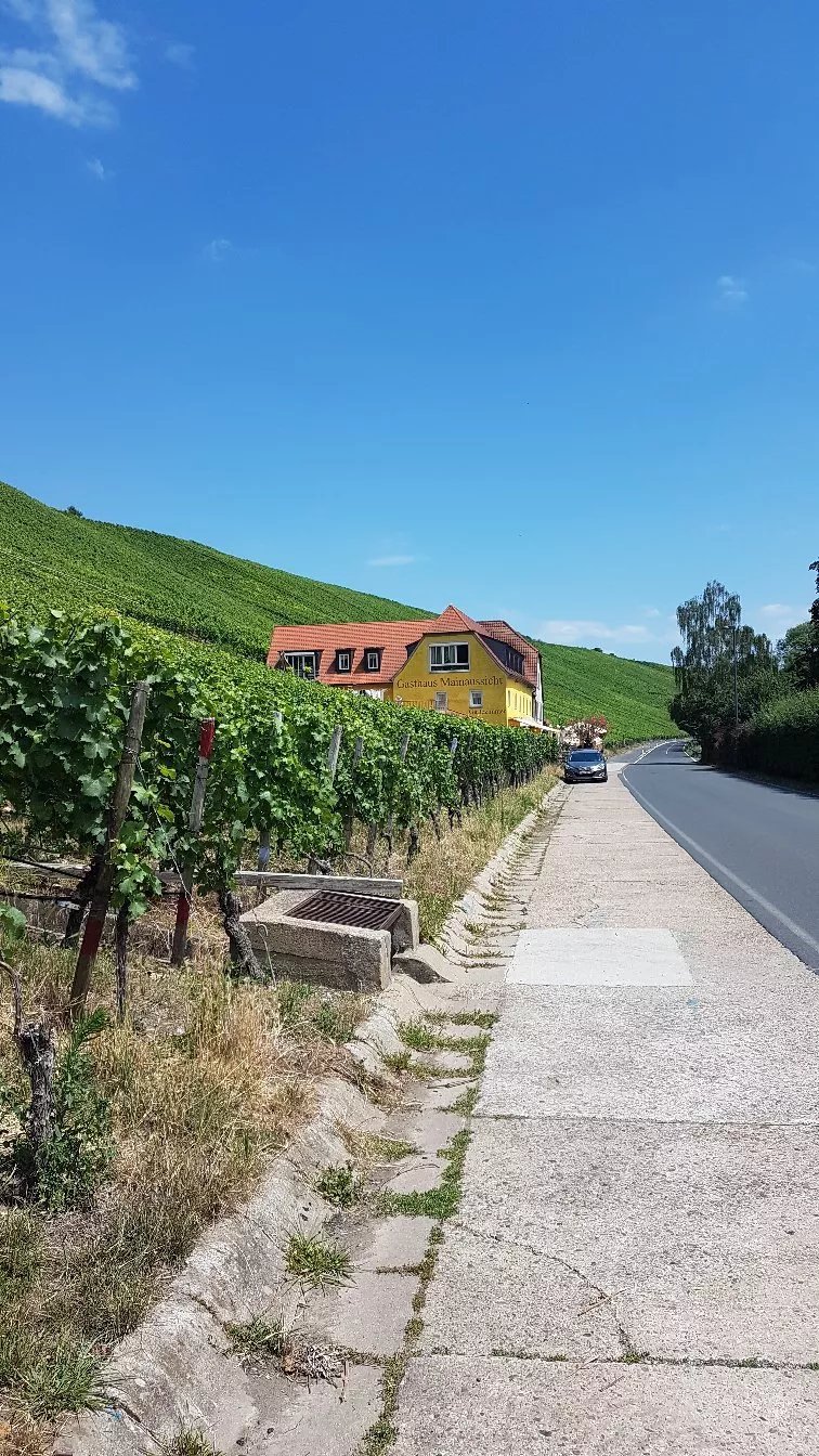 Zur Mainaussicht
