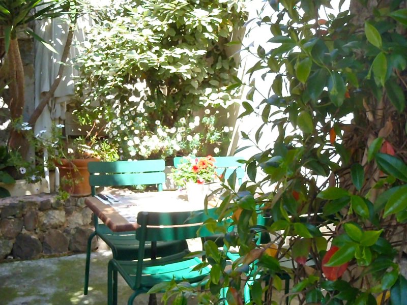 Cafe Brun