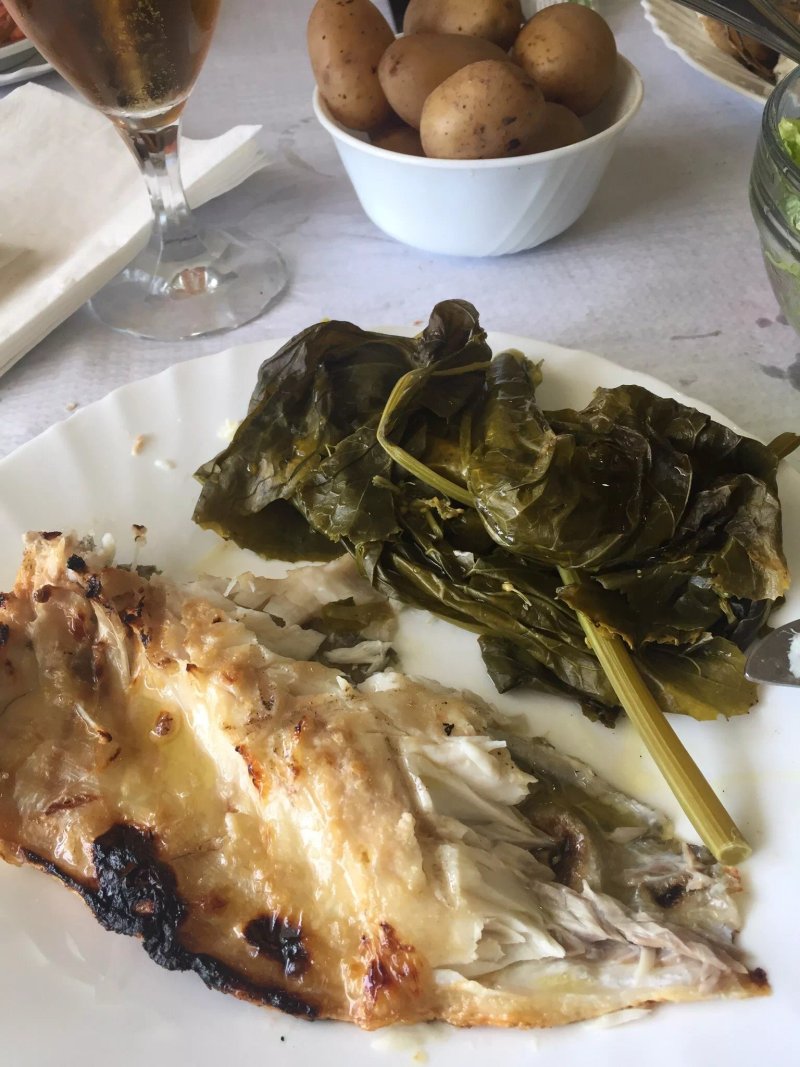A Palmeira