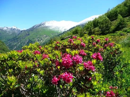 Refuge d'en Beys