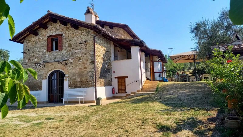 Agriturismo la collina degli Ulivi