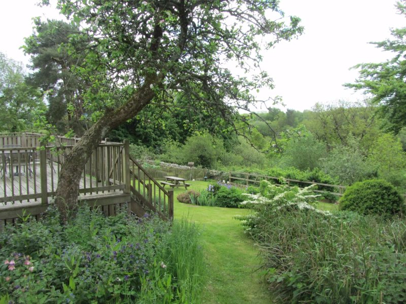 The Shippen Cottages