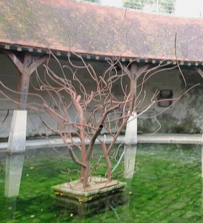Le Grand Lavoir