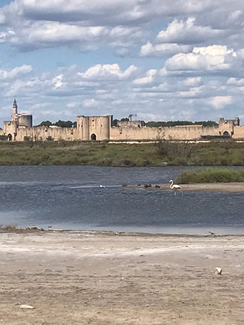 Aigues Mortes