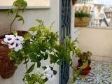 B&B Ares Charme