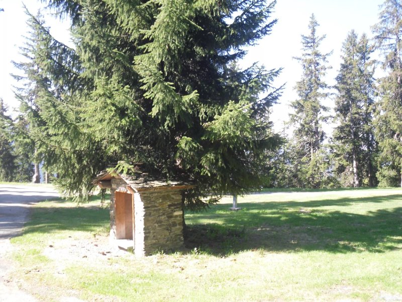 Camping caravaneige La Foret