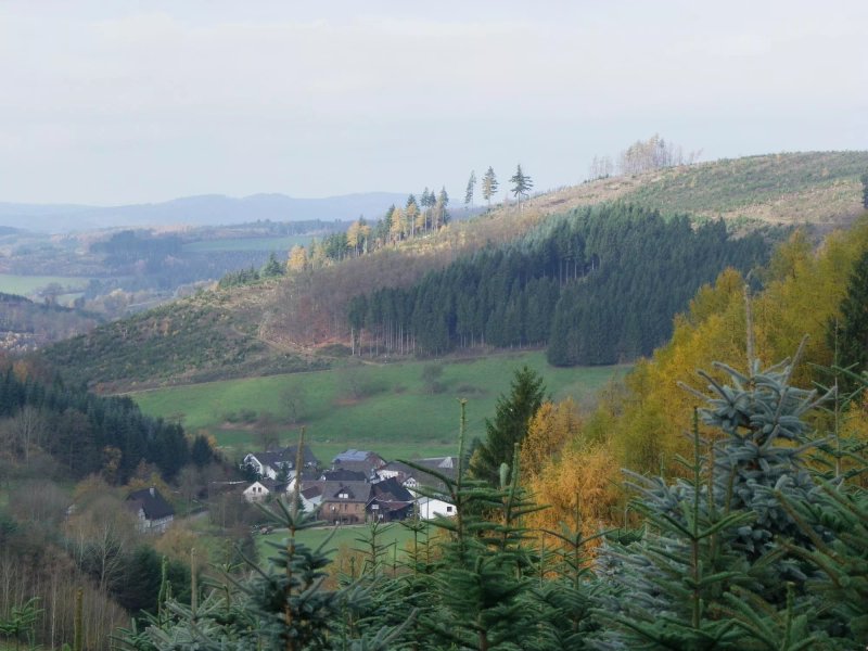 Godeke