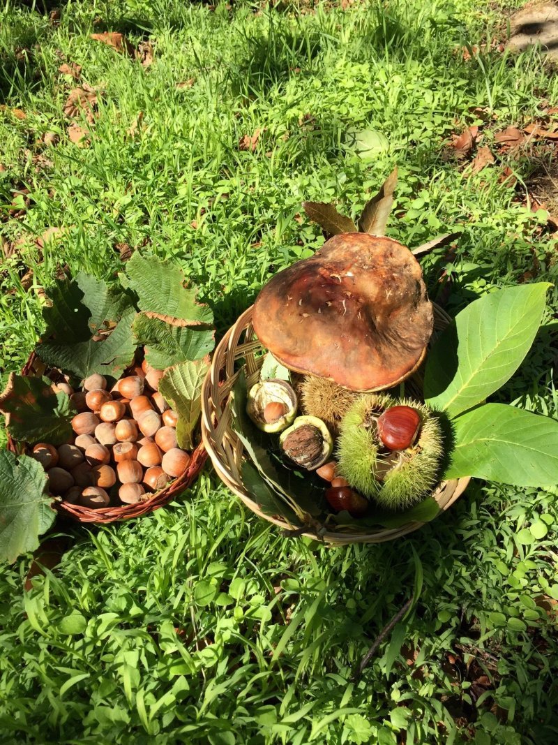 Agriturismo Pardo