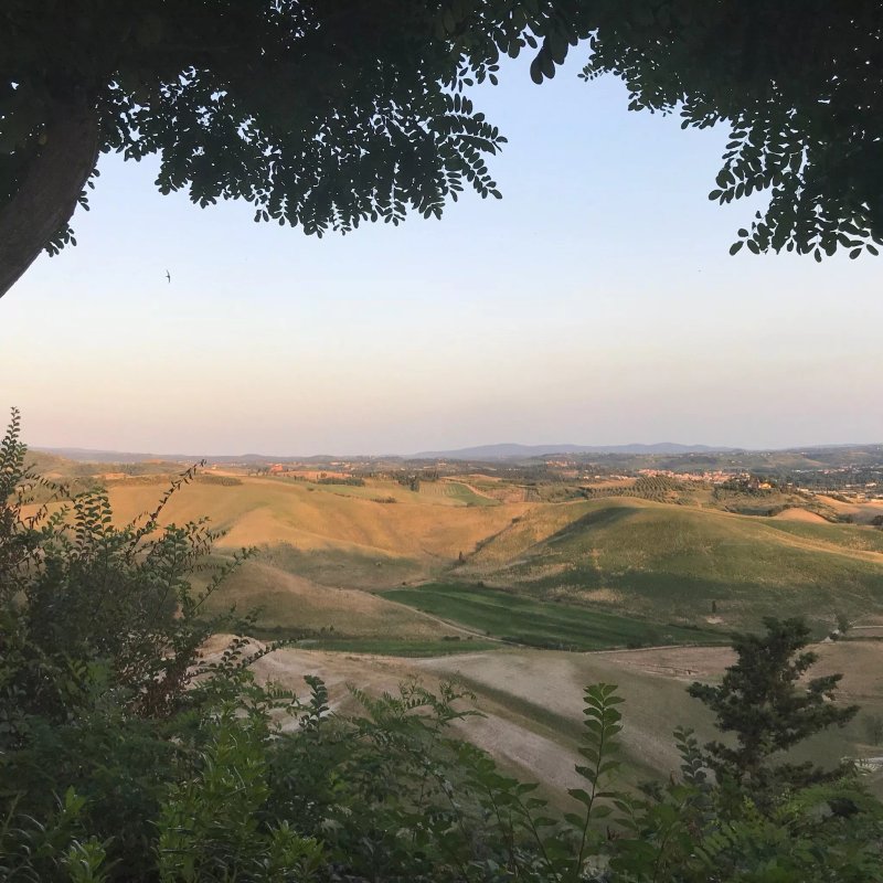 Gli Oleandri Holiday House