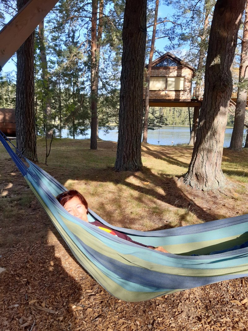 Treehouse Ciekurs