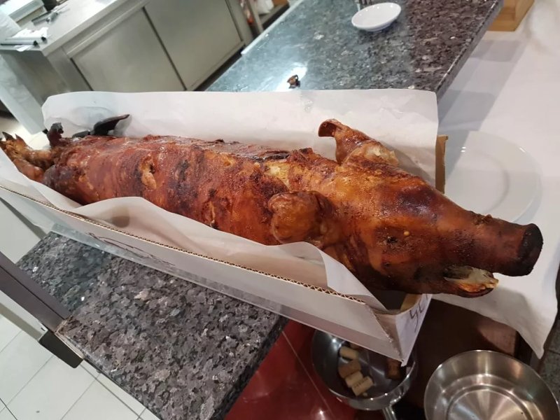 Zito Dos Leitoes