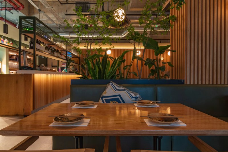 Noko (elephant And Castle)
