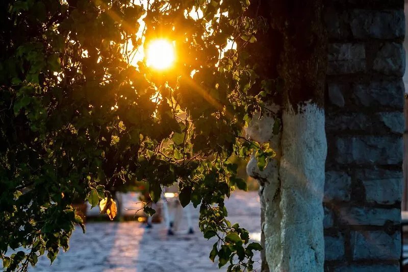 Quietly located in the olive grove, close to the sea and only 32 km from