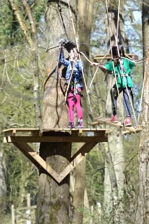 Branching Out Adventures