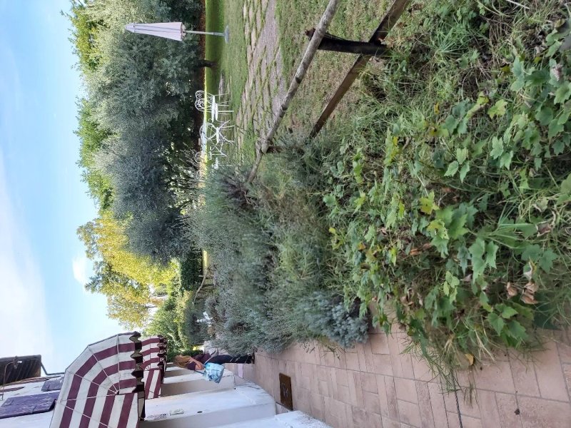 La Torre Del Falco Agriturismo