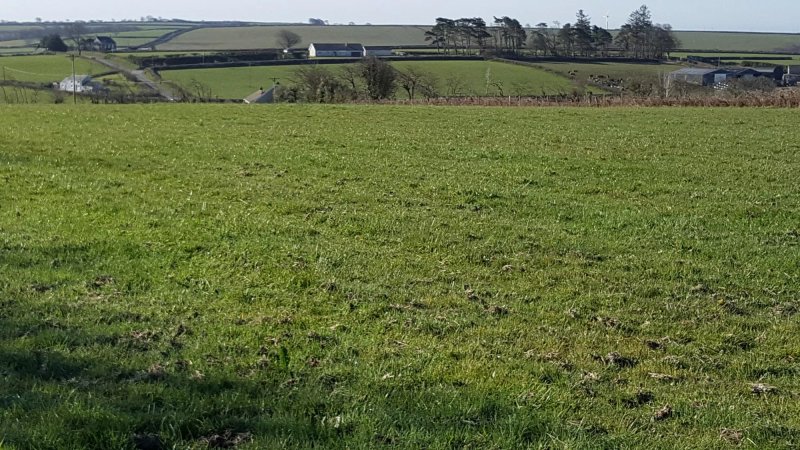 Woodland Rise Camping and Caravan Site
