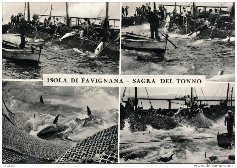 Marsala