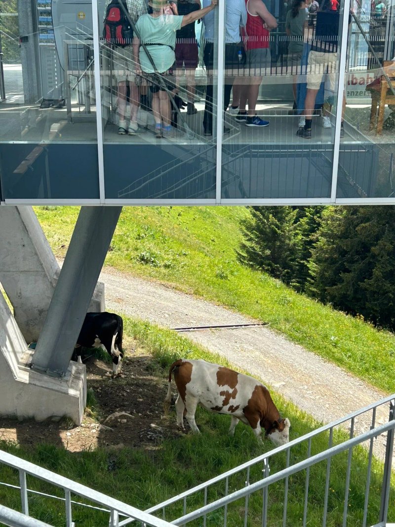 Panorama Restaurant Bezau