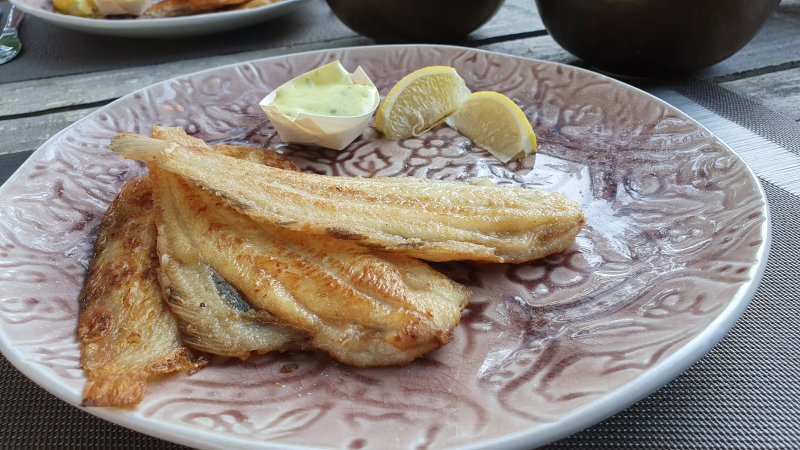 Gastrocafe Santiago